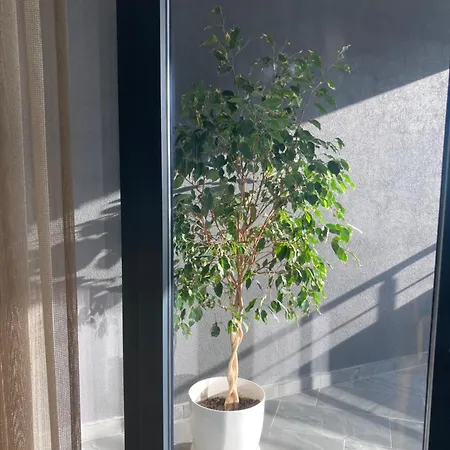 아파트 Dyrrhachium Emerald